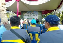 Pemprov Lampung Perkuat Tata Kelola Mangrove Pesisir