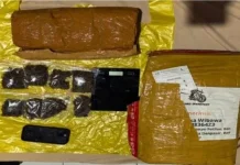 Jaringan Narkoba Medan–Bali Dibongkar, Polda Lampung Sita 6 Kilogram Ganja