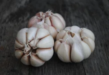 Uji Coba Sukses, Bupati Lampung Barat Optimis Kembangkan Bawang Putih Grade A