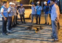 PLN UP3 Pringsewu Gelar Pemeriksaan Penggunaan Listrik Malam Hari