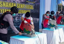 Polda Lampung Musnahkan Ratusan Senjata Api Rakitan Hasil Penyerahan Warga