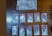 Tekab 308 Presisi Polsek Terusan Nunyai Ringkus Pengedar Sabu