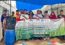 Smart Farming IoT Tingkatkan Efisiensi Budidaya Melon di Lampung Timur