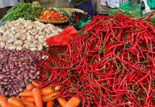 Bawang Merah dan Cabai Picu Deflasi Lampung Juli 2026