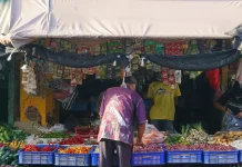 Kenaikan Harga Hasil Panen Dorong Nilai Tukar Petani Lampung