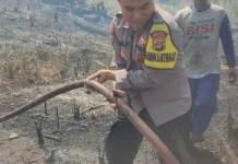 Petugas Gabungan Padamkan Kebakaran Lahan di Jalinsum Kalianda