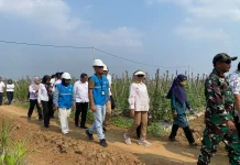 PLN UP3 Metro Perkuat Ketahanan Pangan Lampung Timur lewat Listrik Masuk Sawah