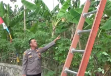 Aksi Pencurian Kabel PLN di Bakauheni Digagalkan Warga