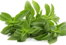 Mengenal Stevia, Pemanis Rendah Kalori Pengganti Gula
