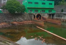 Bendungan Batutegi: Penjaga Air dan Sumber Kehidupan di Tanggamus Lampung