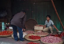 Harga Cabai dan Bawang Merah di Bandarlampung Cenderung Turun