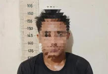 Polisi Ungkap Pencurian 33 Tandan Sawit di Mesuji