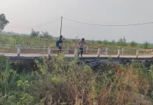 Jembatan Akses Sawah di Palas Amblas, Warga Diimbau Waspada