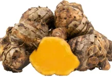 Temulawak, Herbal Nusantara Berpotensi Menjaga Kesehatan Hati dan Nafsu Makan
