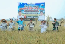 Panen Raya Demfarm PM-AAS Lampung Capai Produktivitas 11,2 Ton per Hektare