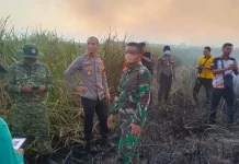 Karhutla TN Way Kambas Berhasil Dipadamkan, Personel Gabungan Lakukan Pembasahan