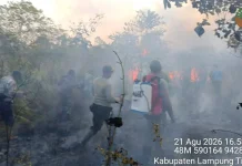 Karhutla di Indonesia Jadi Ancaman Serius, Pencegahan Diperkuat