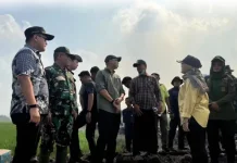 Ketua DPRD dan Gubernur Lampung Tinjau Kebakaran Hutan di Lampung Timur