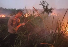673 Hektare Lahan Terbakar di Kawasan Taman Nasional Way Kambas