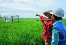 Kolaborasi Pemerintah dan PLN Dorong Perluasan Pertanian Modern di Lampung
