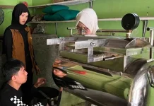 Vacuum Frying Tingkatkan Mutu Keripik Pisang Pesawaran