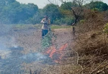 Lahan di Pinggir Jalinpantim Terbakar, Api Berhasil Dipadamkan