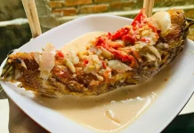 Pekhos Pati, Kuliner Tradisional Lampung dengan Cita Rasa Gurih dan Khas