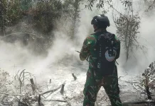 Diterjunkan dari Udara, 40 Personel Tim Alfa TNI Padamkan Hotspot di Way Kambas