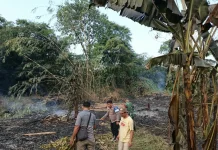 Api Bakar Lahan di Sidomulyo, TNI dan Polisi Padamkan Secara Manual