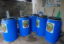Pemprov Lampung Dorong PHC untuk Perkebunan Ramah Lingkungan