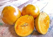 Buah Mundu yang Kian Langka