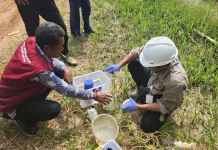 DPLH Pesawaran Tunggu Hasil Lab Ungkap Penyebab Puluhan Mangrove Mati di Gebang