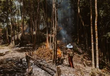 Peran Masyarakat dalam Mencegah Kebakaran Hutan dan Lahan