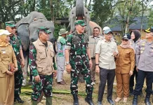 Kunjungi TNWK, Gubernur dan Pangdam Pastikan Gajah Tidak Terdampak Kebakaran