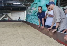 Pemprov Lampung Perkuat Nilai Tambah Komoditas Pangan di Desa