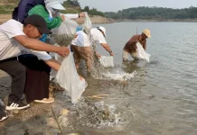 RRI Fest 2026, RRI Bandar Lampung Tebar 20 Ribu Benih Ikan di Way Sekampung