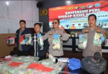 Polres Lampung Selatan Ungkap 8 Kasus Narkotika, 42,8 Kg Sabu Disita
