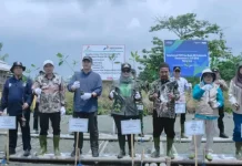 Pemkab Lampung Timur Perkuat Perlindungan Pesisir Lewat Demplot Mangrove
