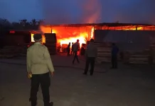 Pabrik Palet Kayu di Pringsewu Terbakar, Kerugian Rp1,2 Miliar