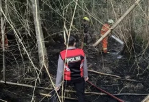 Diduga akibat Membakar Sampah, Lahan Pekarangan di Metro Timur Terbakar