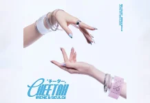 Irene & Seulgi Red Velvet Siap Debut Jepang dengan Mini Album “Cheetah”