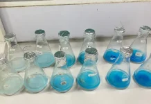 Unila Kembangkan Penyerap Pewarna Tekstil dari Tulang Ikan Sapu-Sapu