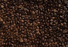 Produksi Kopi Lampung Capai 127.578 Ton
