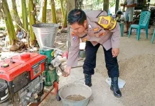 Bhabinkamtibmas Pringsewu Olah Ampas Singkong Jadi Pakan Ternak