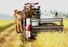 Lahan Bengkok BUMDes Jadi Lahan Produktif, Pringsewu Dorong Corporate Farming