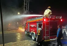 Polisi dan Damkar Padamkan Kebakaran di Lahan Kosong Depan Terminal Rajabasa