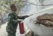 Babinsa Campang Raya Bantu Padamkan Kebakaran Lahan di Atas Bukit