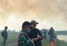 Komitmen Komite Mitigasi TNWK Dukung Penanganan Karhutla