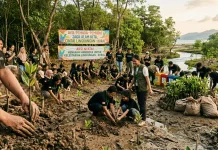 Penanaman Pohon sebagai Aksi Nyata Jaga Lingkungan