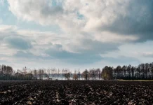 El Niño Sangat Kuat Berdampak pada Kondisi Iklim Indonesia